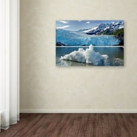 Iceburg ' Canvas Art by Mike Jones Photo