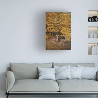 Jai Johnson 'Whitetails In Autumn' Canvas Art