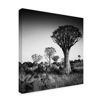Zaštitni znak Likovna umjetnost 'Namibia Quiver stabla' platno umjetnost Nina Papiorek