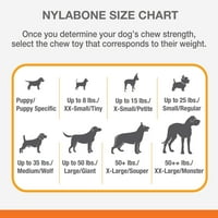 Nylabone štene chew Toy and Treat Bundle