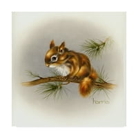 Zaštitni znak Likovna umjetnost' Rockabye baby Squirrel ' platna Umjetnost Peggy Harris