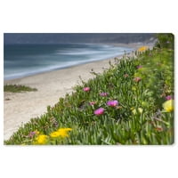 Wynwood Studio Nautical and Coastal Wall Art Canvas Prints 'Curro Cardenal-Coastal Flowers Due' Coastal-Green,