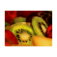 Zaštitni znak likovne umjetnosti' voćna salata ' platno Art Dana Brett Minhen