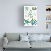 Sharon Chandler' Aquatic Assemblage VII ' Canvas Art