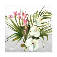 Jean Plout 'Lijepe Orhideje A' Platnena Umjetnost