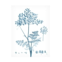 Vision Studio 'Antique Botanical in Blue VI' Canvas Art