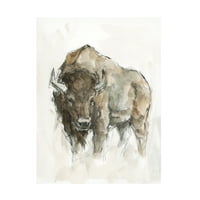 Ethan Harper' Buffalo II ' Canvas Art