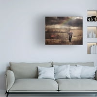 Annie Whitehead' After The Storm ' Canvas Art