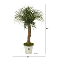 Skoro prirodno 61in. Vještačka biljka palminog repa u dekorativnoj Sadilici