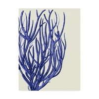 Zaštitni znak Likovna umjetnost 'plavi koralji c' platno Art Fab Funky