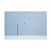 Uschi Hermann 'Dug dan u zimi' platno umjetnost