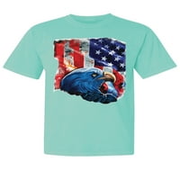 Divlji Bobby, patriotski orlov američka zastava, američki ponos, oprani izgled od obojenog odjeće, majice