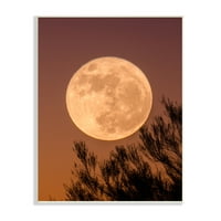 Stupell Indtries fotografija punog mjeseca Silhouette Autumn Sky, 19,dizajn by Birch&Ink