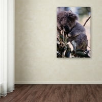 Zaštitni znak likovne umjetnosti' Koala-z ' platna Umjetnost Roberta K Jonesa