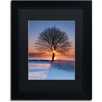 Zaštitni znak Likovna umjetnost Sunce u drvetu Umjetnost platna Michaela Blanchette fotografija crni mat, crni okvir