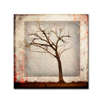 Zaštitni znak Likovna umjetnost 'Cottonwood Tree dio 05' platno Art Od LightBoxJournal