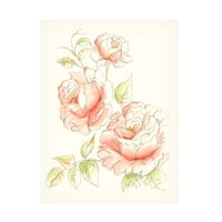Ethan Harper 'akvarel Floral Variety IV' Canvas Art