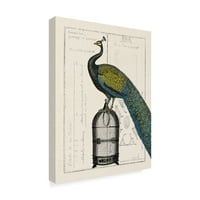 Zaštitni znak likovne umjetnosti 'pauck Birdcage II' platno umjetnost Sue Schlabach