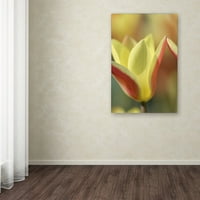 Zaštitni znak likovne umjetnosti' Tulip Tinka ' platno Art Cora Niele
