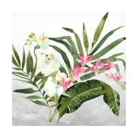 Jean Plout 'Lijepe Orhideje B' Platno Umjetnost