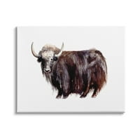 Stupell Industries Shaggy goveda akvarelna slika portret farme životinja Jaka, 24,dizajn fo Hollow Studios