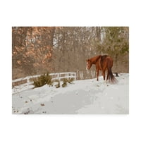 Zaštitni znak likog umjetnosti 'konj u snegu Milford Michigan' Canvas Art by Monte Nagler