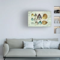 Cora Niele 'Seashells on Map I' Canvas Art
