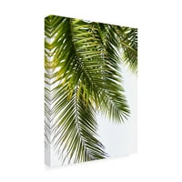 Zaštitni znak Likovna umjetnost' palmino lišće ' platnena Umjetnost Lexie Gree