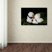 Zaštitni znak Likovna umjetnost' magnolija ' platnena Umjetnost Lori Hutchison
