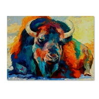 Zaštitni znak fine umjetnosti 'zimski bison' platno umjetnost Marion Rose