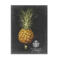 George Brookshaw' Royal Brookshaw ananas II ' platno Umjetnost