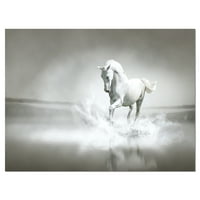 Designart 'bijeli konj trčanje u vodi' umjetnički Print na životinjskom platnu