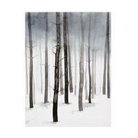 Grace Popp' maglovita zimska šetnja II ' Umjetnost platna