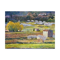 Zaštitni znak likovne umjetnosti' Provence Spring ' platno Art David Lloyd Glover