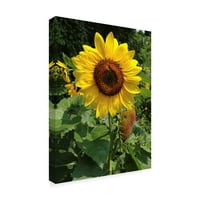 Zaštitni znak Likovna umjetnost' Sunny Day Sunflower ' platno Art Nina Marie