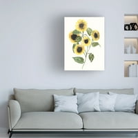 Jennifer Goldberger' Sunflower Composition II ' Canvas Art