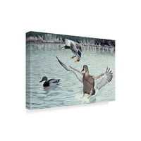 Zaštitni znak likovne umjetnosti' Mamljene patke ' platnena Umjetnost Rustyja Frentnera