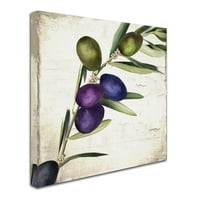 Zaštitni znak likovne umjetnosti Olive grana III platna umjetnost bojom pekarom