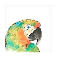 Juni Erica Vess' tropska ptica portret IV ' platno Art