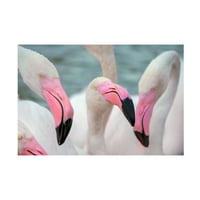 Ben Heine 'Flamboyant Of Flamingos 1' Platno Art