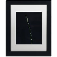 Zaštitni znak Likovna umjetnost zelena spirala Umjetnost platna Kurta Shaffera, bijeli mat, crni okvir