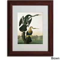 Zaštitni znak Likovna umjetnost Crnokljuna Pikado Umjetnost platna Johna Jamesa Audubona, crni okvir