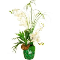 Dizajn Lauren 32 Phalaenopsis orhidejski aranžman sa Čempresnim Papirusom i biljkom roga u reljefnoj keramičkoj vazi