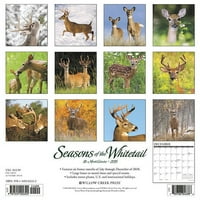 Willow Creek Press Seasons of the whitetail Wall Calendar