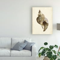 Zaštitni znak likovne umjetnosti 'akvarel seashell II' platna umjetnost Melissa Wang