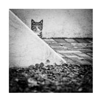 Boris Hristov 'Sakrivanje Kitty' platna umjetnost
