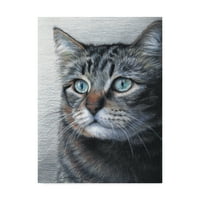 Zaštitni znak likovne umjetnosti 'mačka portret' umjetnost Carla Kurt