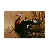 Zaštitni znak Likovna umjetnost' Crna Trbušasta patka ' platnena Umjetnost Wilhelma Goebela
