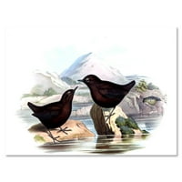 Designart 'Vintage Countryside Two Birds' Farmhouse Canvas Wall Art Print