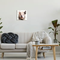 Stupell Baby Pig Face Apstraktni Portret Životinje I Insekti Slikarstvo Zidna Ploča Neuramljena Umjetnost Print Zidna Umjetnost